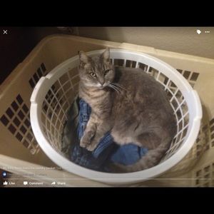 Meet your Posher, Sandy